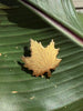 Vintage 1970 Canadian gold-tone maple leaf brooch displayed on green leaf