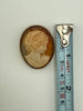 Vintage shell cameo brooch shown beside measuring tape at approximately 3.5 cm tall