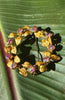 Aurora Borealis glass crystal brooch on green leaf showing pink purple blue and gold reflections