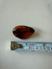 Natural Baltic amber brooch photographed beside ruler showing approximate size