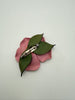Back of vintage Alberta Wild Rose leather brooch showing green leather leaves and metal pin closure