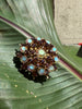 Vintage gold-tone starburst brooch with iridescent Aurora Borealis crystals
